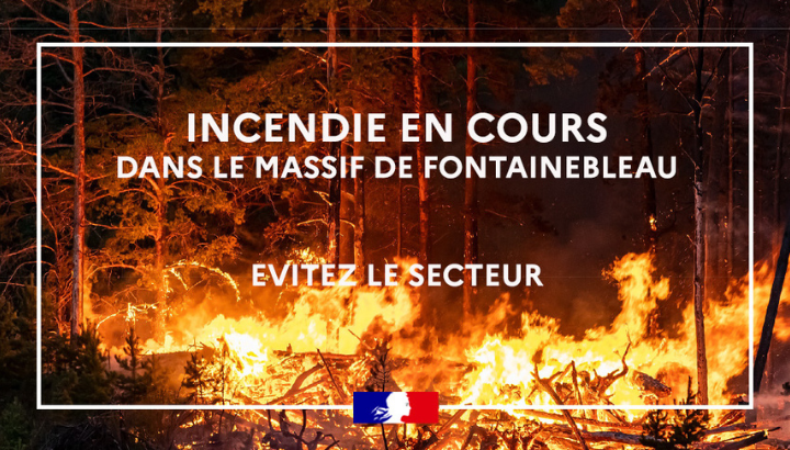 Incendies à Fontainebleau et faune sauvage